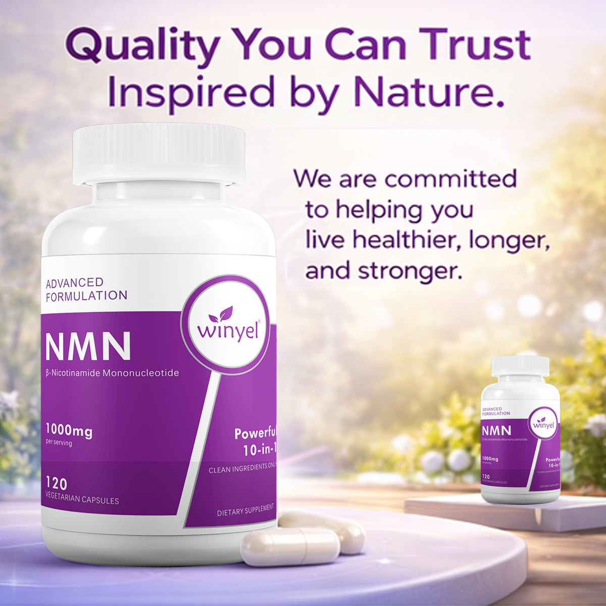 WINYEL Cellular Energy Complex Per Serving, 10-in-1 Formula, Zero Filler, With Vitamin C, Resveratrol, CoQ10, TMG, Quercetin &amp; Glutathione Capsules