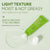 Korean Green Tea Eye Cream Anti-Wrinkle Skin Care